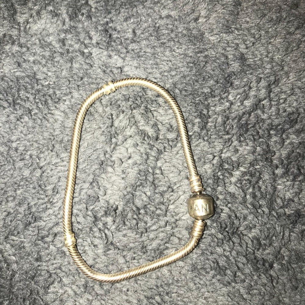 Pandora charm bracelet!